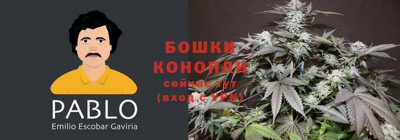 ссылка на мегу рабочий сайт  darknet состав  Бошки Шишки SATIVA & INDICA  Жигулёвск 